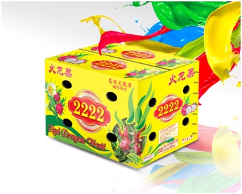 Fruit carton packaging