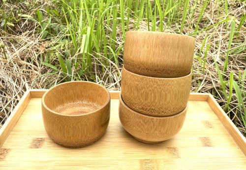 Coconut bowl