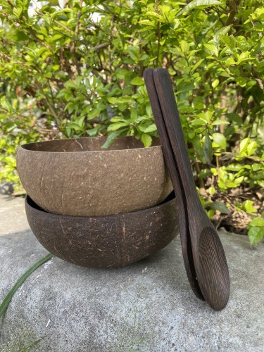 Coconut bowl