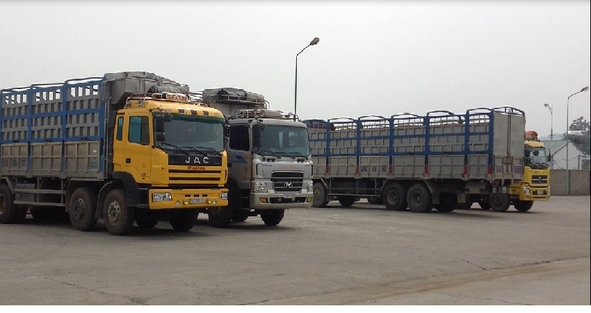 Freight transportation