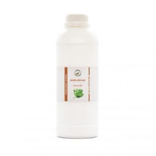 Betel Essential Oil
