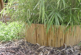 Bamboo enclosure