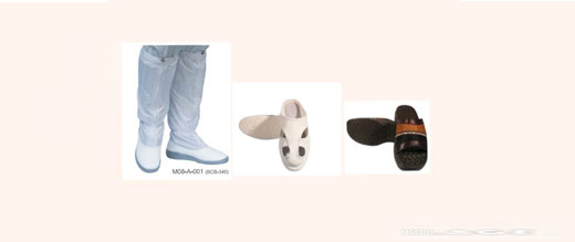 Cleanroom footwear