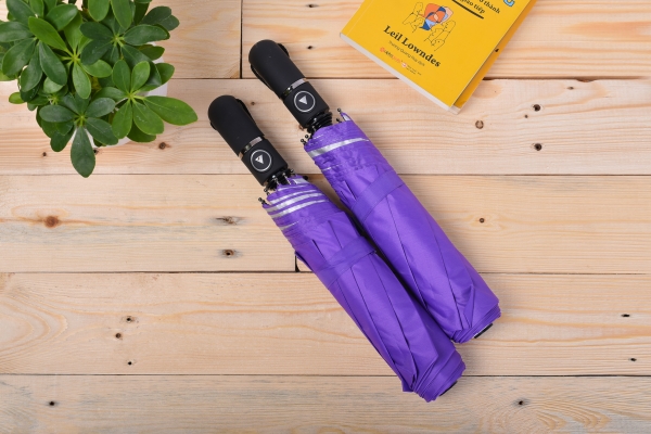 Umbrella - Maz 1743