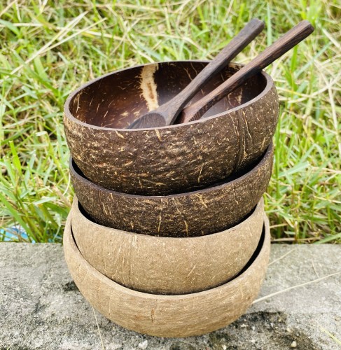 Coconut bowl