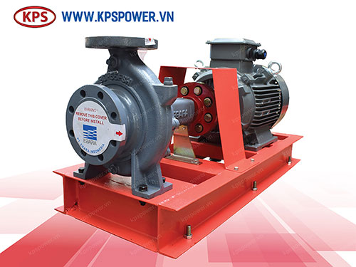 Teco Ebara electronic firefighting pumps