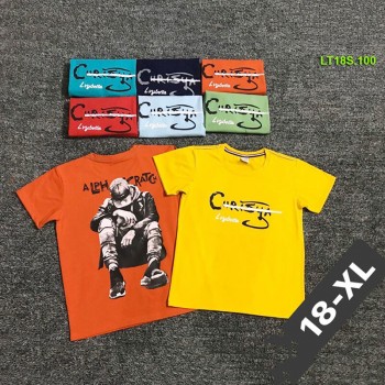 Boy's T-shirt