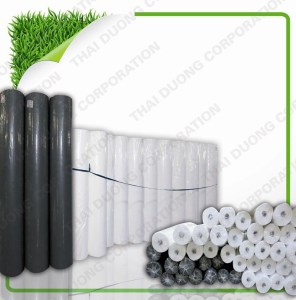 Non-woven fabric and products