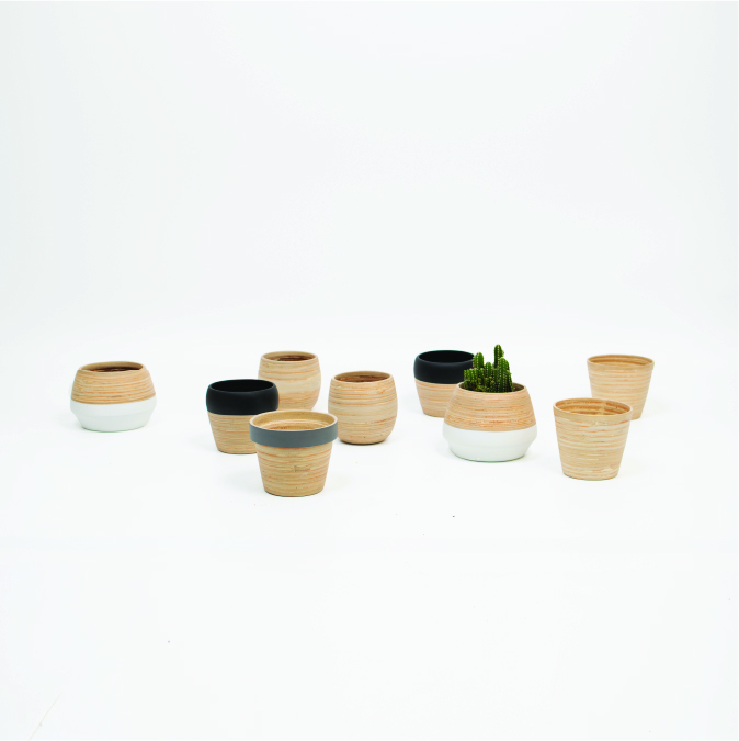 Twisted bamboo succulent containers