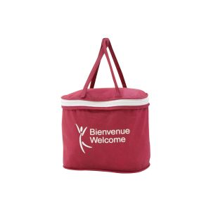 Vanaty Bordeaux Handbag