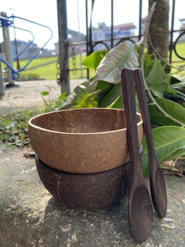 Coconut bowl