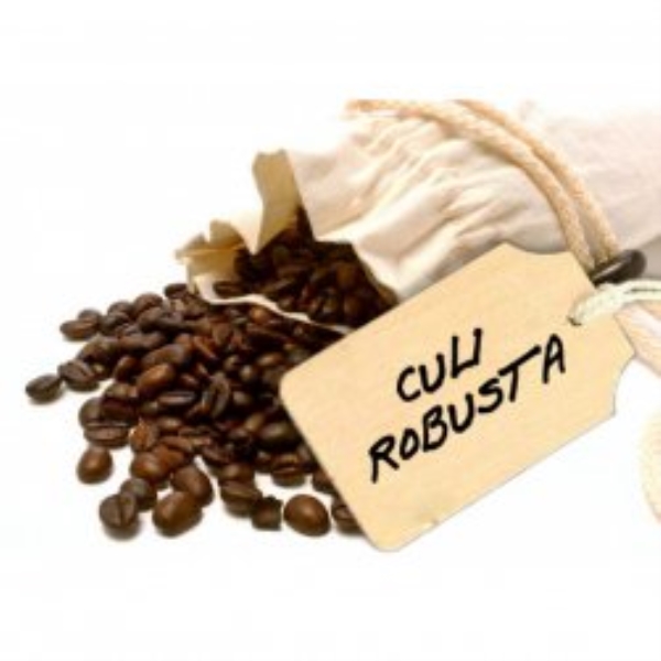 Hot Kuli - Premium Robusta Coffee